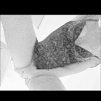 Souraya - Bramboden - Lucerne | Milf